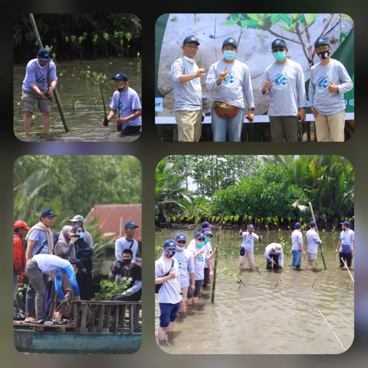 Peduli Lingkungan Pesisir, Fakultas Teknik Unhas Tanam 6000 Bibit Mangrove